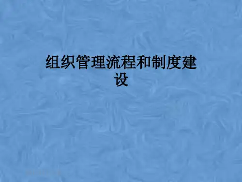 组织管理流程和制度建设