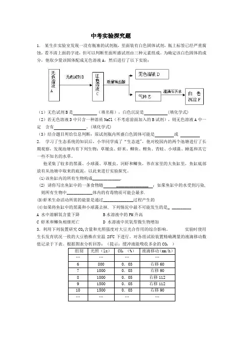 实验探究练习19道题目(带详细答案)