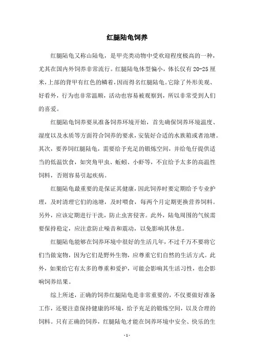 红腿陆龟饲养