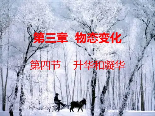 《升华和凝华》ppt初中人教版1