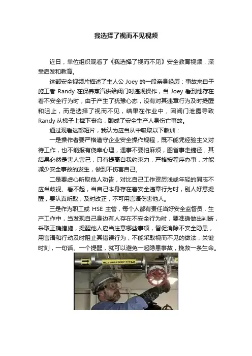 我选择了视而不见视频