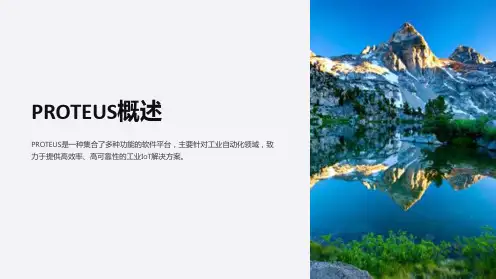 《PROTEUS概述》课件