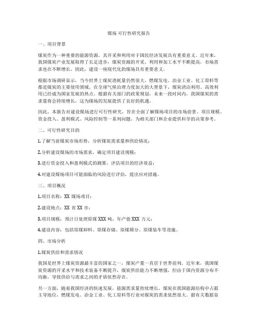 煤场 可行性研究报告