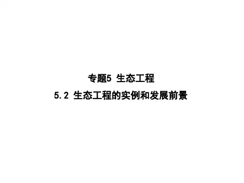 生态工程的实例和发展前景课件高二下学期生物人教版选修3