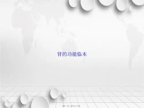 肾的功能临本讲课文档