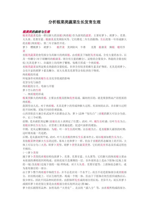 分析根菜类蔬菜生长发育生理
