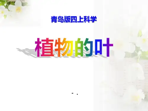 《植物的叶》PPT