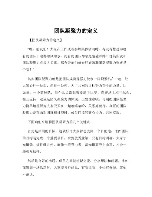 团队凝聚力的定义