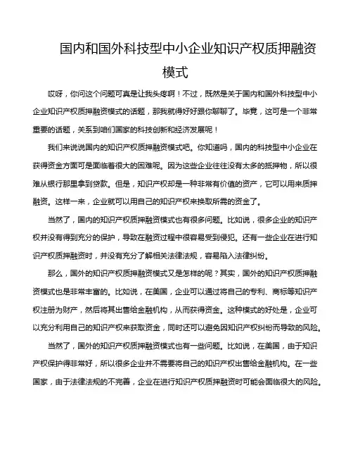 国内和国外科技型中小企业知识产权质押融资模式