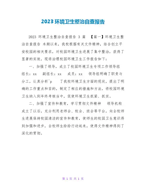 2023环境卫生整治自查报告