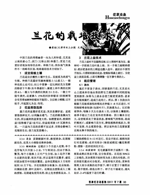 兰花的栽培技术