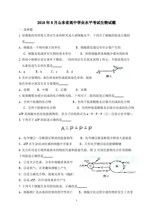 2016-2018年夏季学业水平考试合本