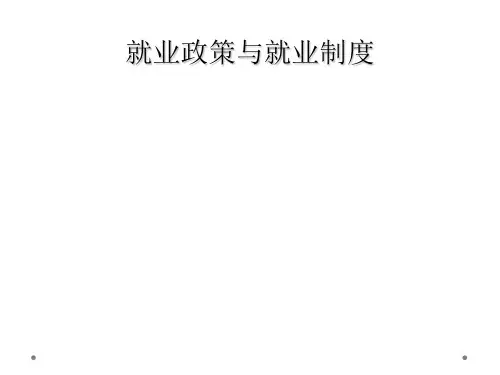 就业政策与就业制度