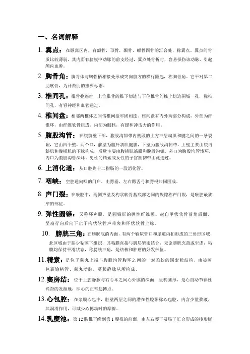 系统解剖学 重点