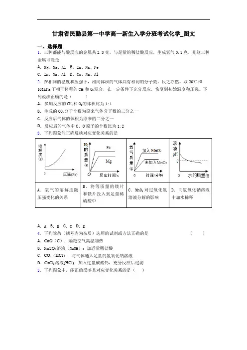 甘肃省民勤县第一中学高一新生入学分班考试化学_图文