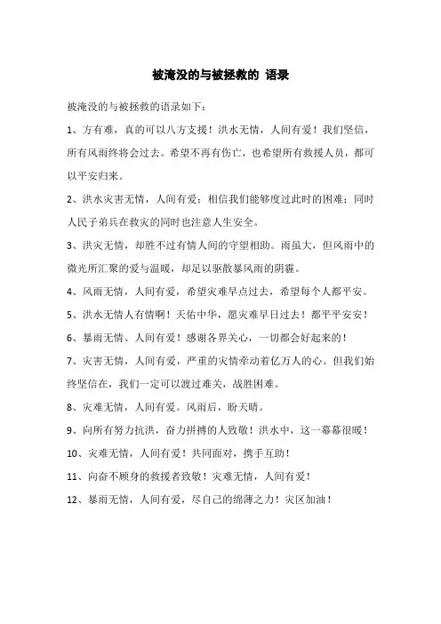 被淹没的与被拯救的 语录
