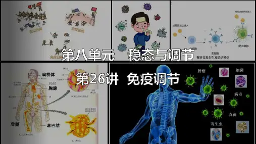 高三一轮复习生物免疫系统的组成和功能课件
