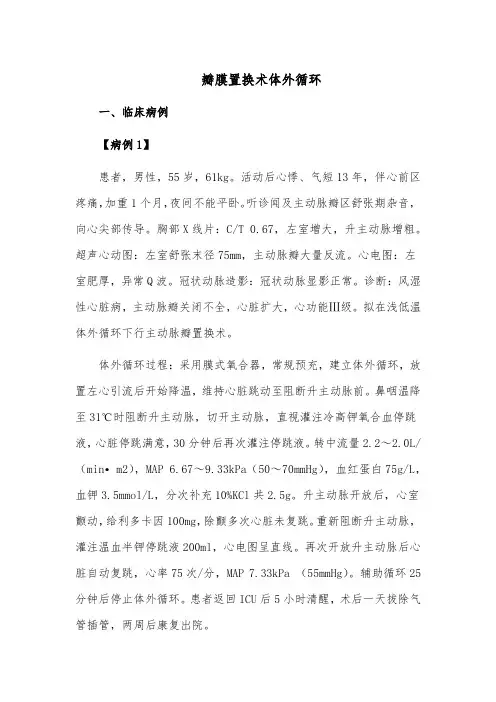 瓣膜置换术体外循环