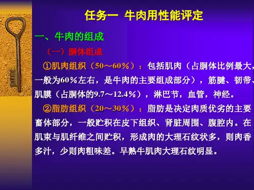 四 肉牛产肉性能测定