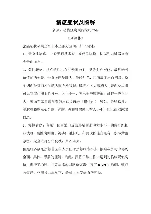猪瘟症状与图解