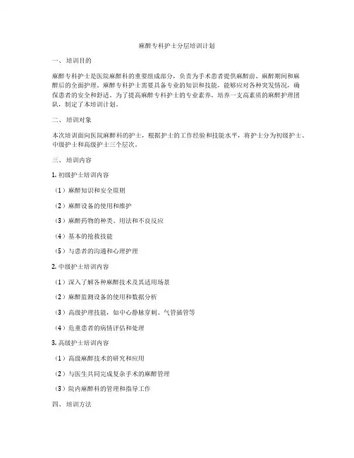 麻醉专科护士分层培训计划