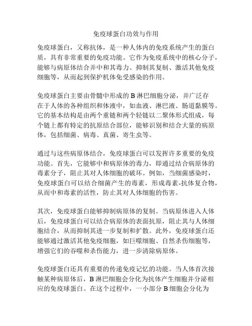 免疫球蛋白功效与作用