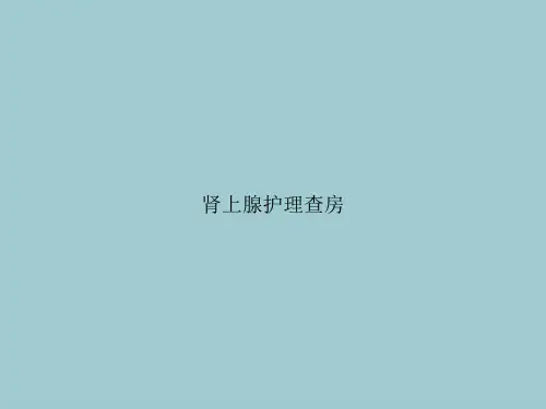 肾上腺护理查房(优质PPT文档)