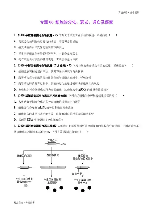 2020年【生物】真题和引申：细胞的分化、衰老、凋亡及癌变-分项汇编-普高校招全国统一考题(学生版)
