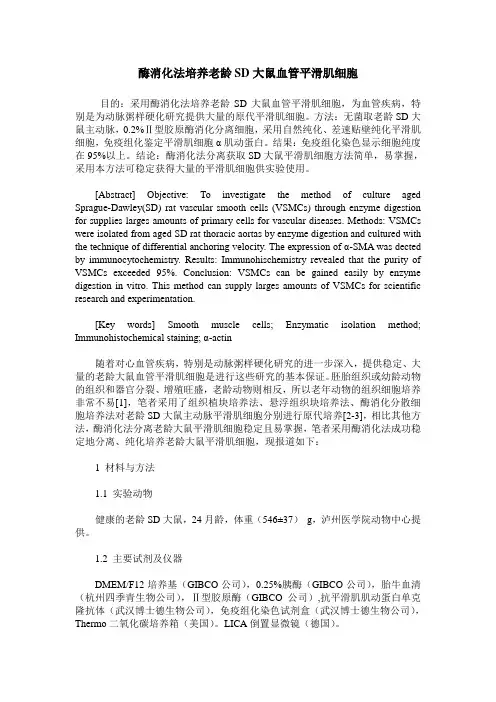 酶消化法培养老龄SD大鼠血管平滑肌细胞