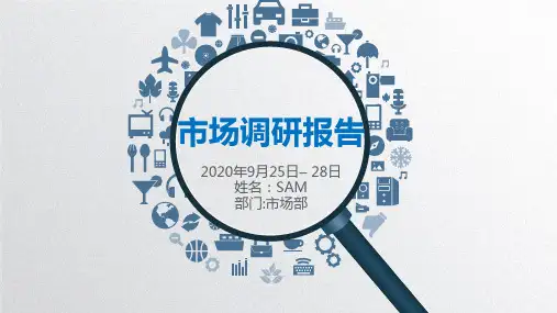 【新】ppt天然气市场调研