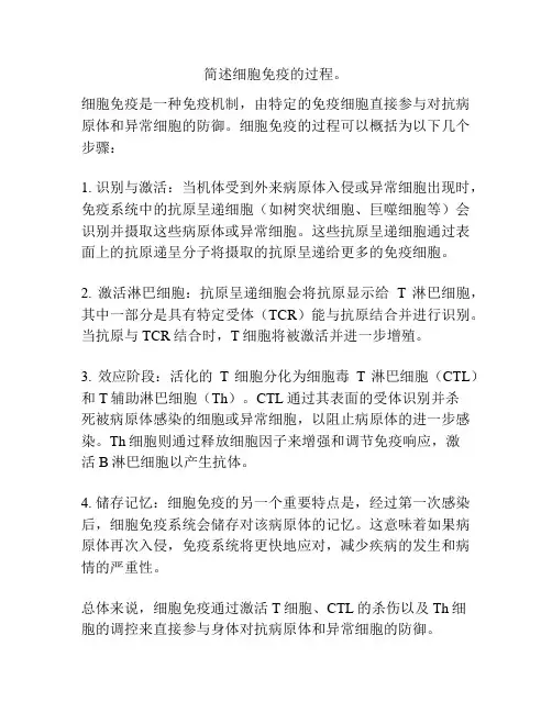 简述细胞免疫的过程。