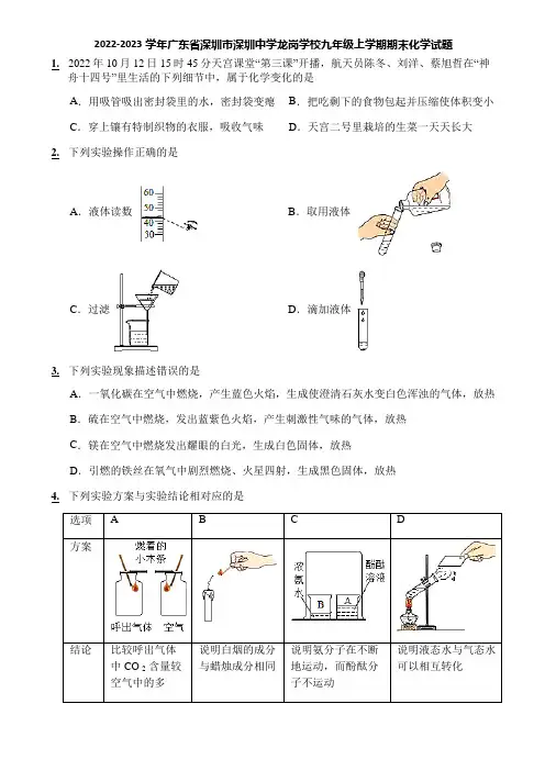 2022-2023学年广东省深圳市深圳中学龙岗学校九年级上学期期末化学试题