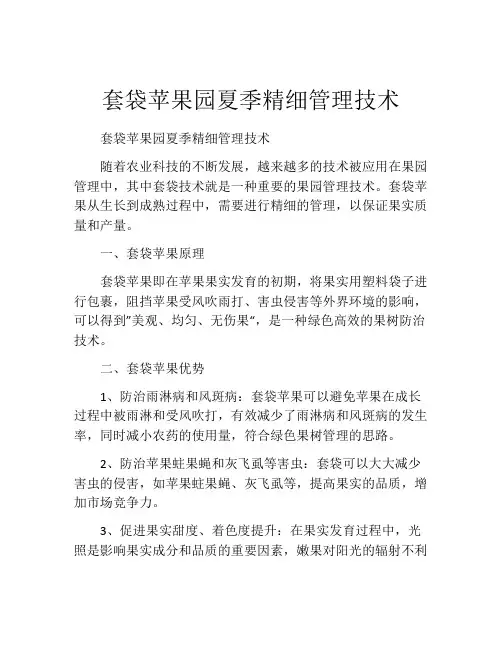 套袋苹果园夏季精细管理技术