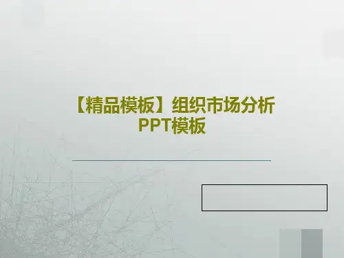 【精品模板】组织市场分析PPT模板共20页