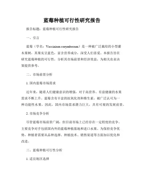 蓝莓种植可行性研究报告