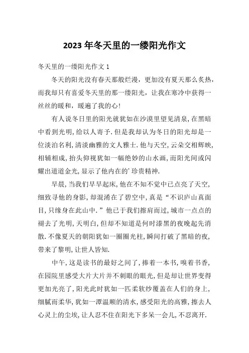 2023年冬天里的一缕阳光作文