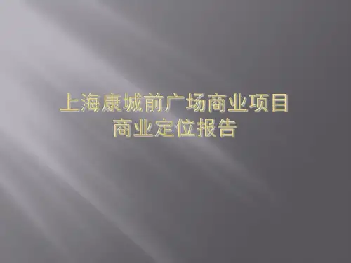 最新商业地产项目定位报告参考