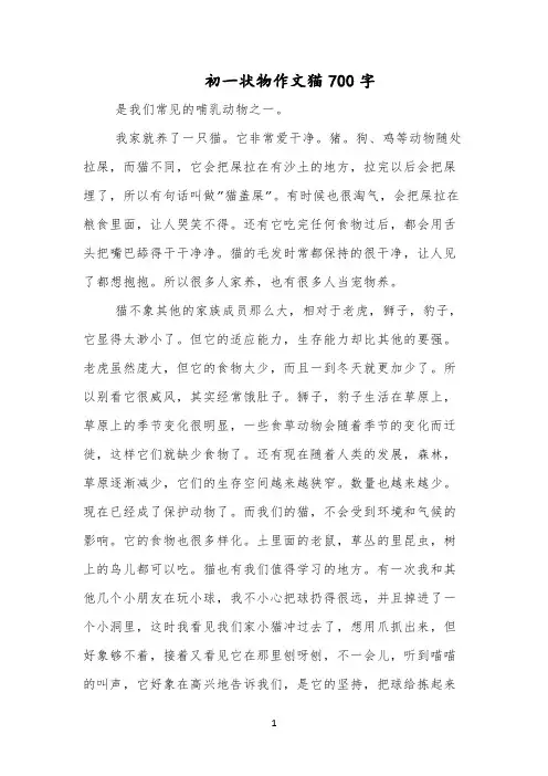 初一状物作文猫700字