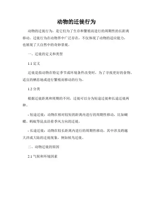 动物的迁徙行为