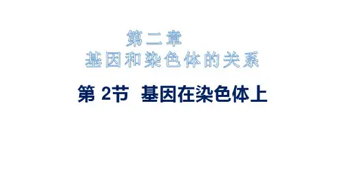 2.2基因在染色体上(课件)
