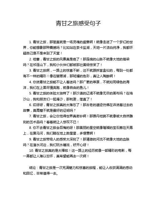 青甘之旅感受句子