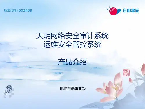 天玥网络安全审计系统V6.0-运维安全管控系统-产品介绍PPT-357系列-v1.0