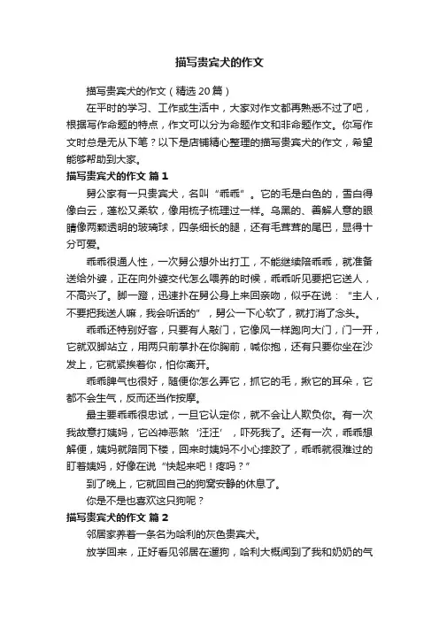 描写贵宾犬的作文