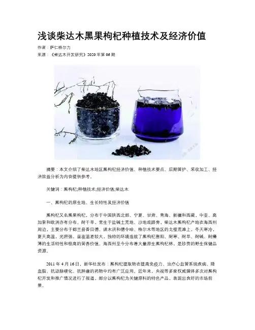 浅谈柴达木黑果枸杞种植技术及经济价值