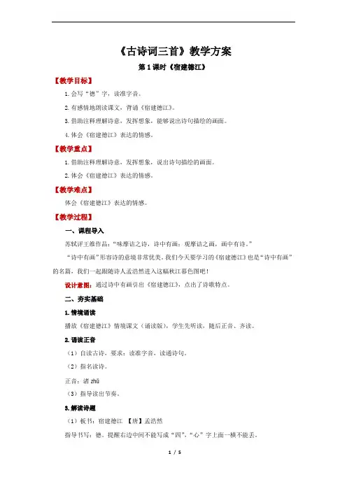 古诗词三首《宿建德江》精品教案