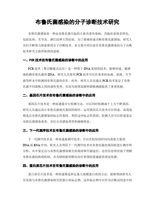 布鲁氏菌感染的分子诊断技术研究