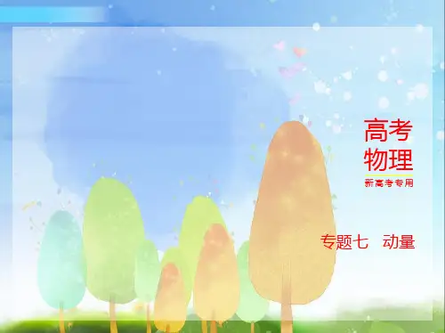 2024年新高考版物理专题七动量习题部分