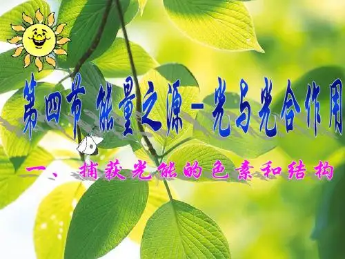 5.4 光合作用-1公开课