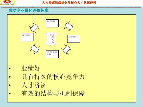 人力资源战略规划及核心人才队伍建设