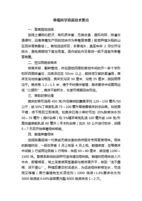 草莓科学育苗技术要点